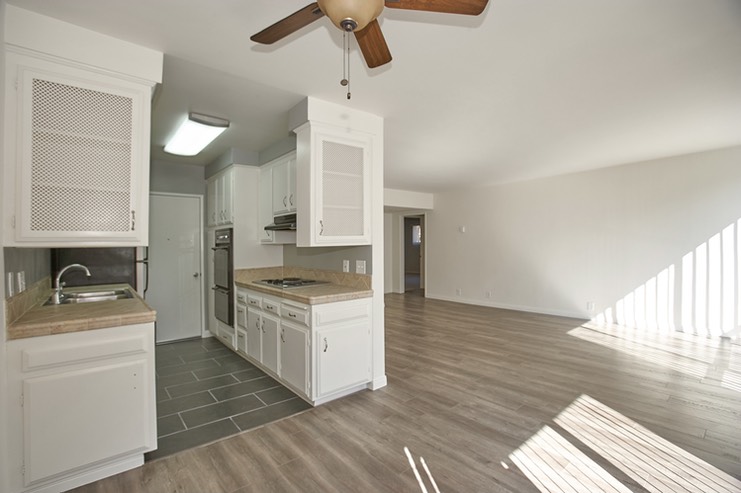 Kitchen and Living Room