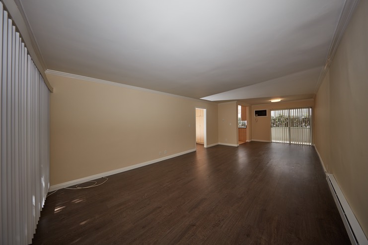 Living Room and Patio