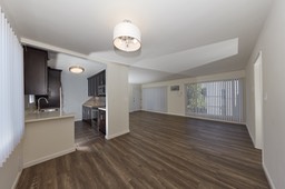 LivingRoom Kitchen