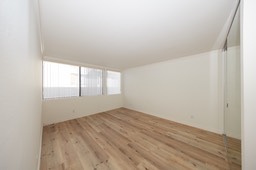 Master Bedroom Window and Closet