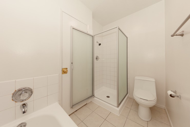 Master Tub and Shower